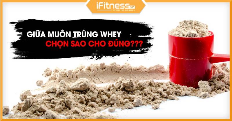 Các loại Whey Protein phổ biến