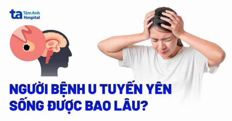 Các yếu tố ảnh hưởng đến tuổi thọ của dạ yến thảo