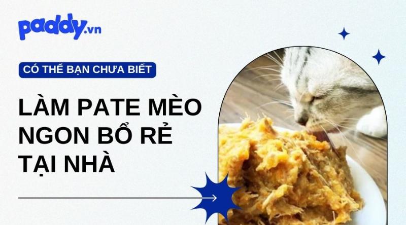 Thành phẩm pate ức gà cho mèo