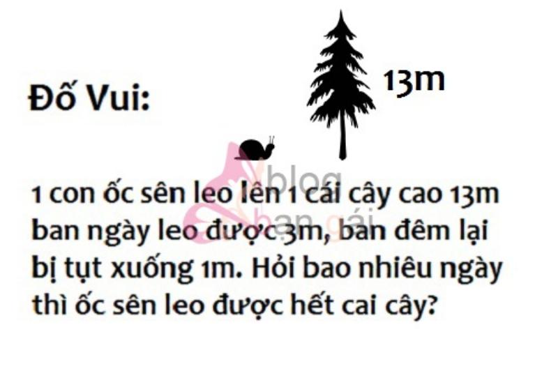 Câu đố dân gian về con vật hại não