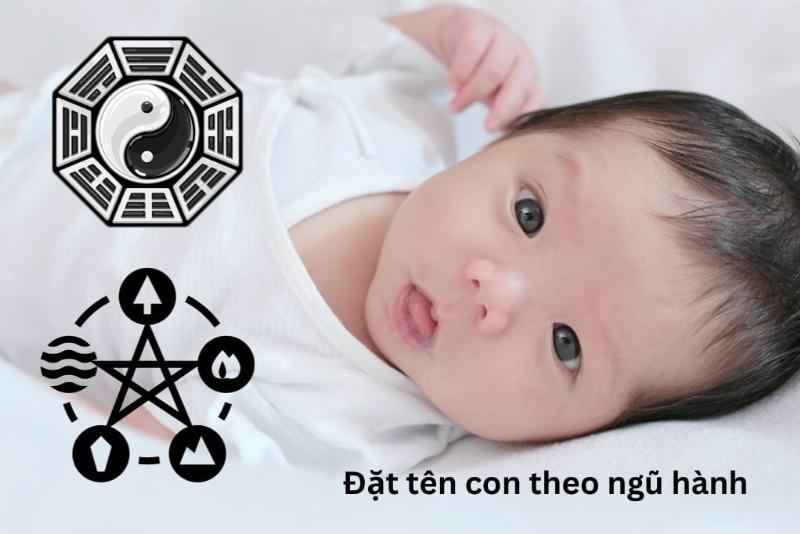 Cây mệnh Mộc nên tránh: cây có gai nhọn, hình dáng kì dị