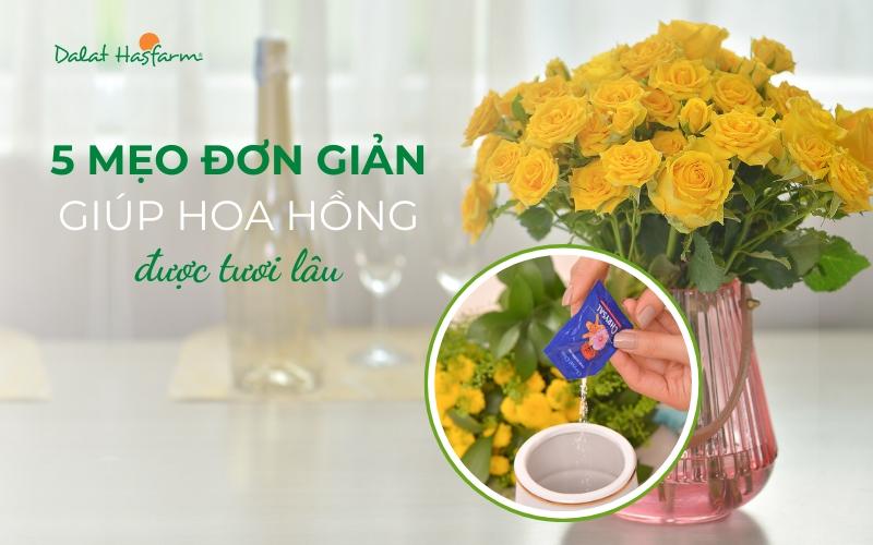 Chăm Sóc Hoa Hồng Cắm Bình