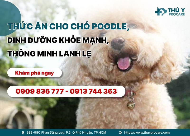 Chế độ dinh dưỡng cho chó thông minh