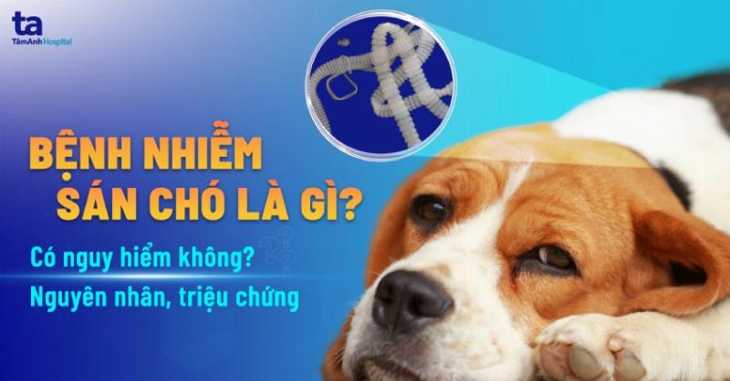 Chó Bị Tiêu Chảy Ra Máu: Khám Bác Sĩ