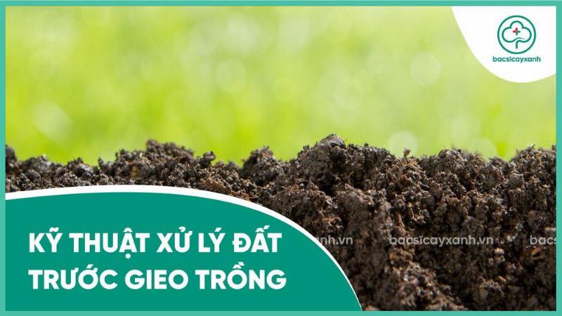 Chuẩn bị đất trồng bầu