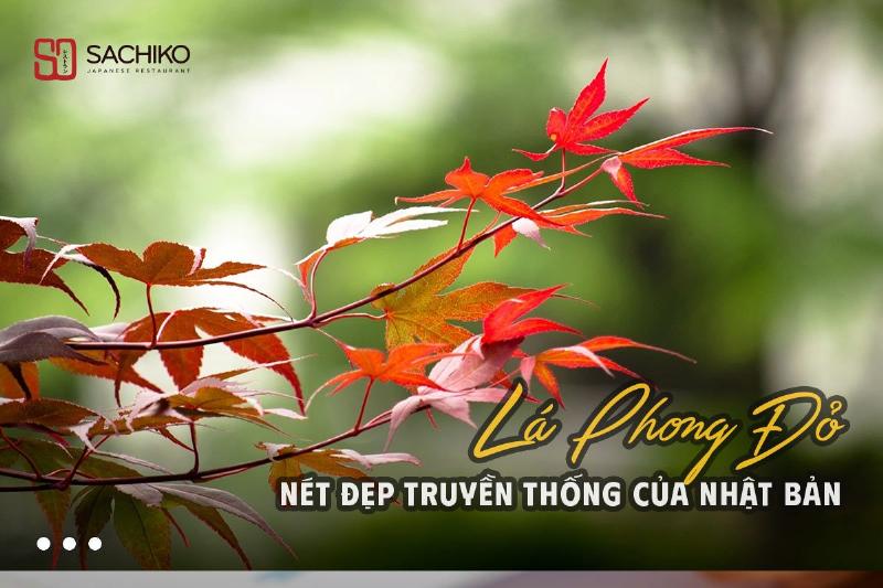 Chuyện tình lá phong đỏ ở Nhật Bản