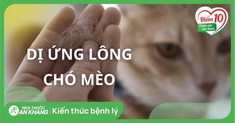 Điều trị dị ứng cho chó: Thuốc kháng histamin