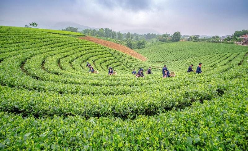 Định Hóa Thái Nguyên thu hút du khách bởi vẻ đẹp thiên nhiên và văn hóa đặc sắc