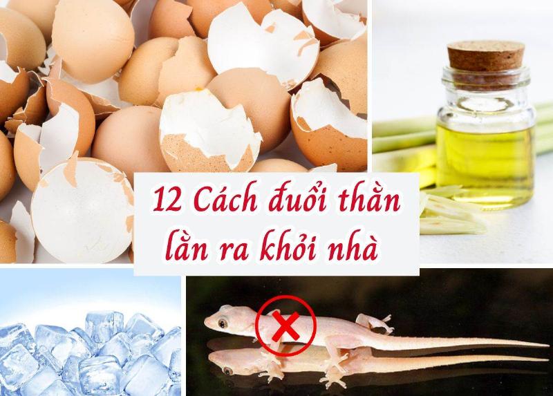 Dùng tỏi diệt thằn lằn