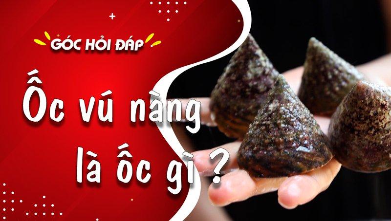 Giá ốc vú nàng hiện nay