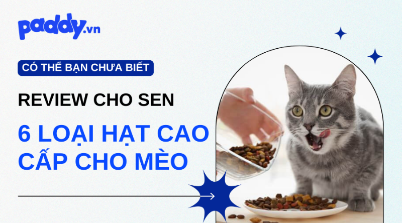 Hạt khô cho mèo cao cấp