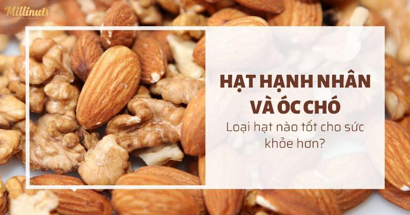 Hạt óc chó hạnh nhân