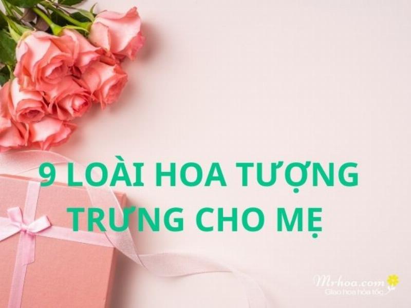 Bó hoa cẩm chướng hồng thể hiện lòng biết ơn và tình yêu dành cho mẹ