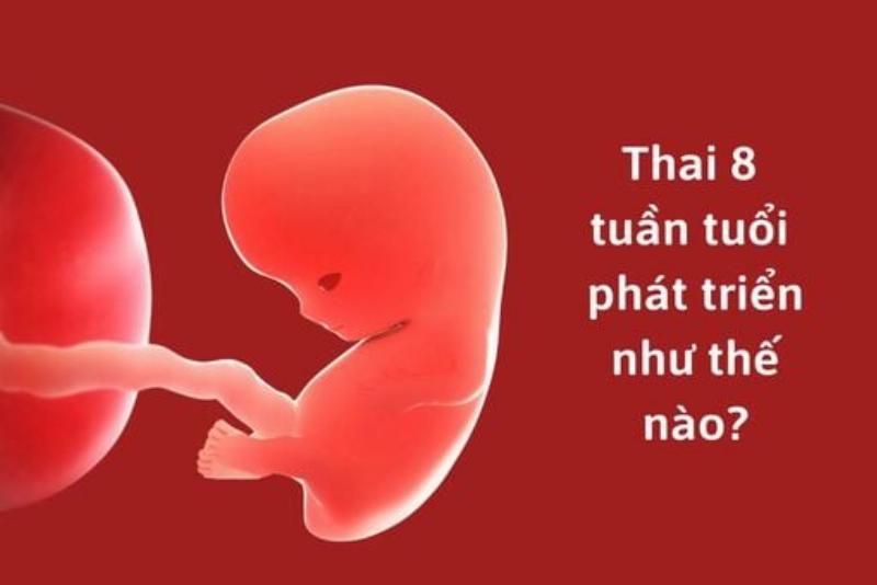 Kích thước bánh sinh nhật cho bé trai 8 tuổi