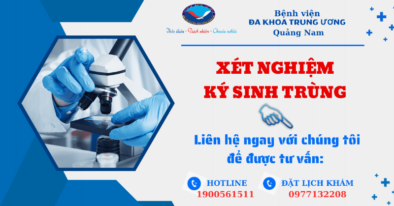 Ký sinh trùng máu ở chó quan sát dưới kính hiển vi