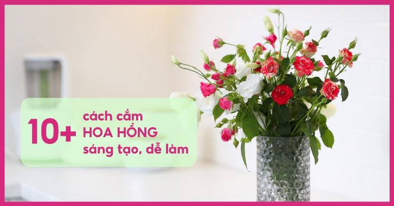 Kỹ thuật Cắm Hoa Hồng