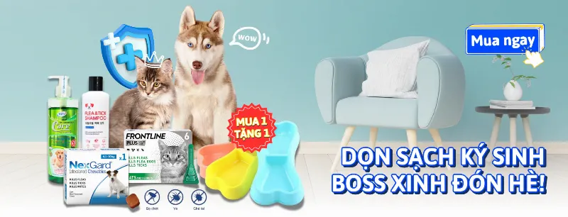 Làm bánh sinh nhật cho boss yêu