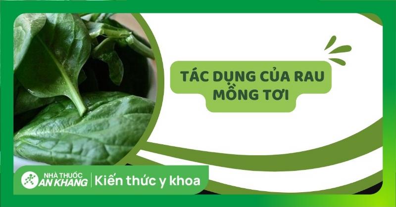 Lợi ích sức khỏe từ rau mồng tơi