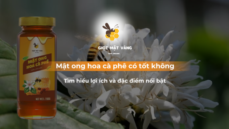 Hình ảnh mật ong hoa cà phê trong ẩm thực