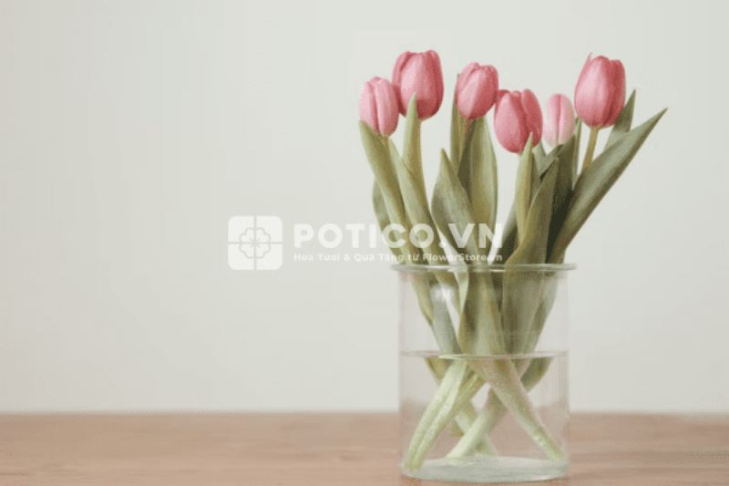 Mẹo cắm hoa tulip có củ tươi lâu