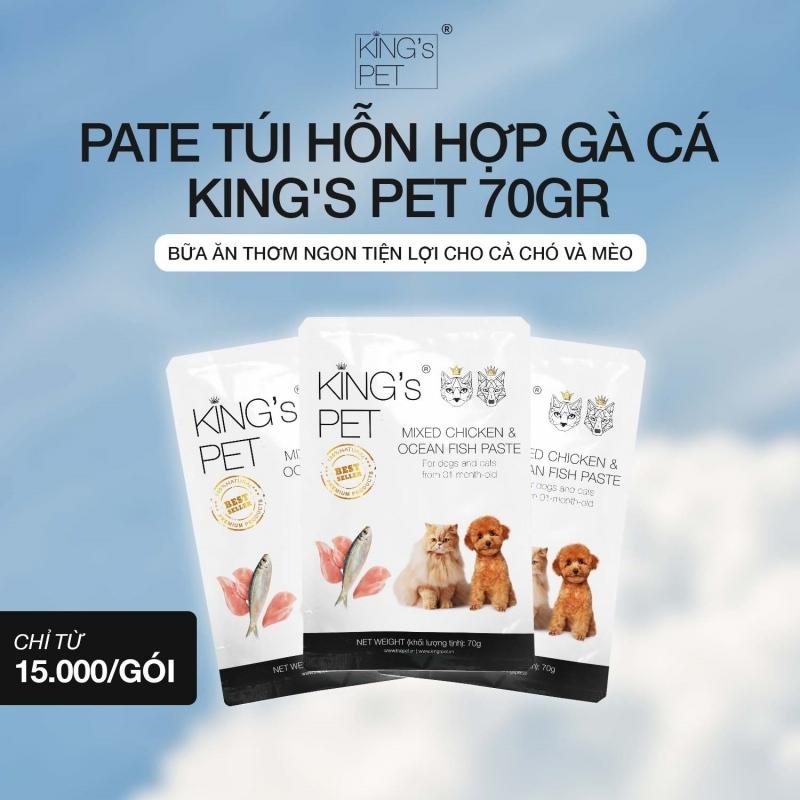 Mèo Con Bị Tiêu Chảy: Nguyên Nhân