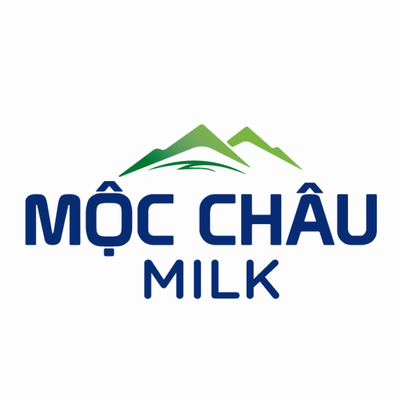 Mộc Châu mùa đông với đồng cỏ xanh mướt và đàn bò sữa