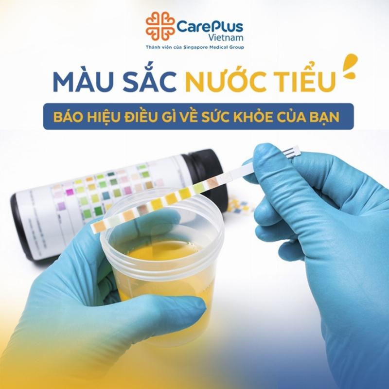 Quan sát màu sắc nước hoa