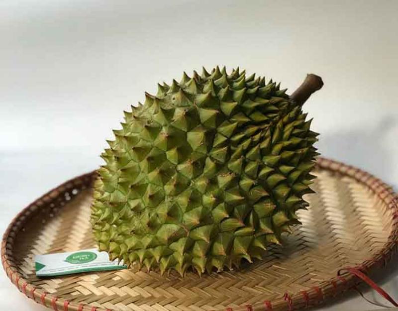 Siêu thị bán sầu riêng Musang King tại Hà Nội