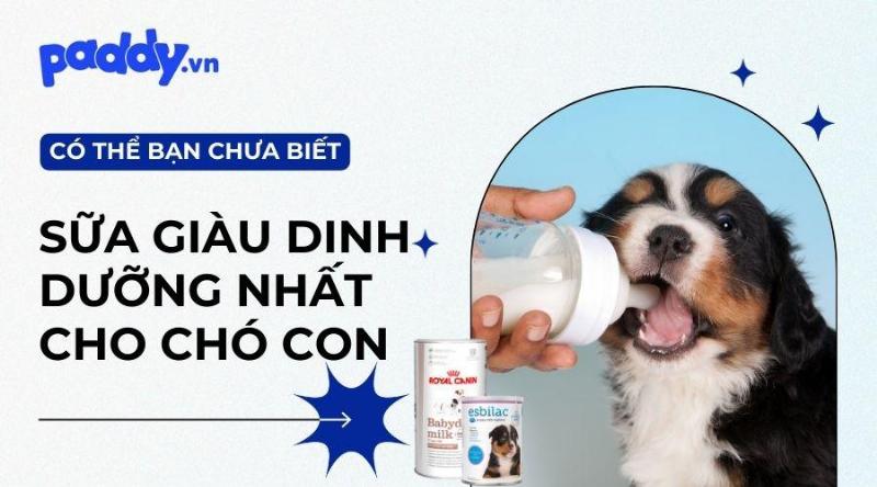 Sữa thay thế cho chó con