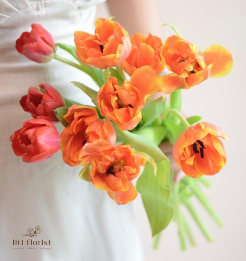 Tạo hình dáng cho bình hoa tulip có củ