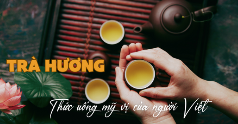 Hoa Trà My nở rộ, tỏa hương thơm ngát