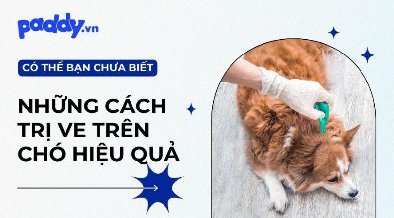 Thuốc xịt chống ve chó cho chó: Xịt thuốc chống ve cho chó