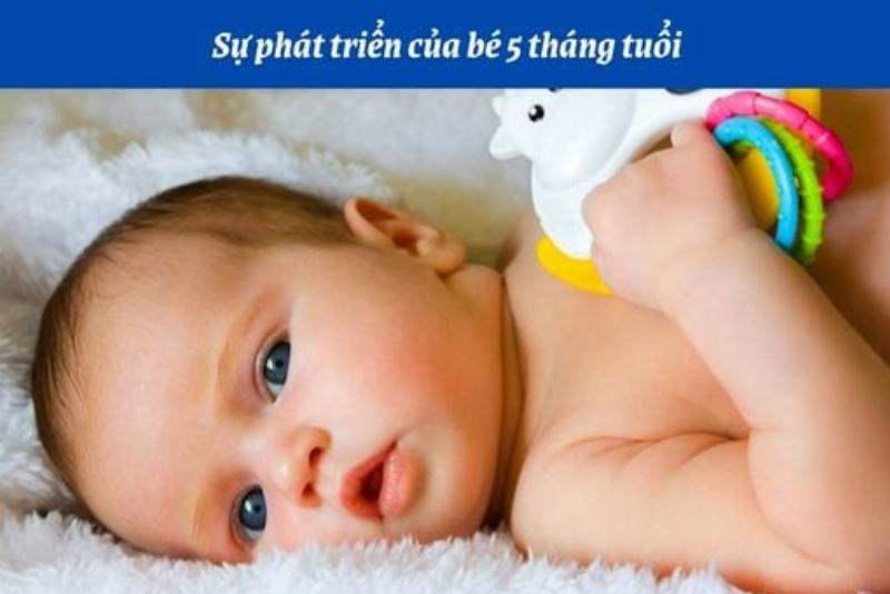 Tử vi và ẩm thực: Nuôi dưỡng tính cách cho bé 5 tuổi