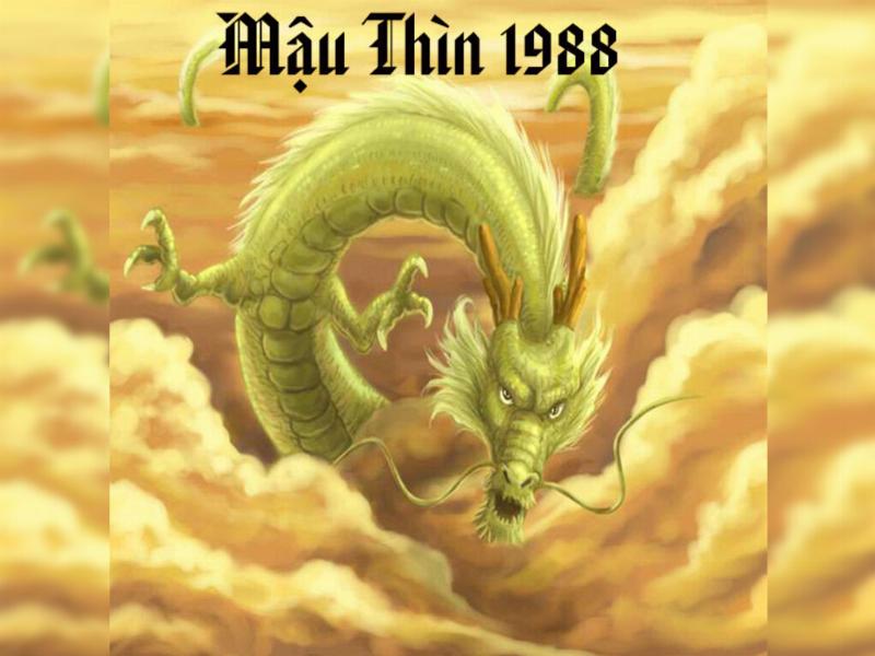 Vị Trí Đặt Cây Phong Thủy Cho Tuổi Thìn 1988