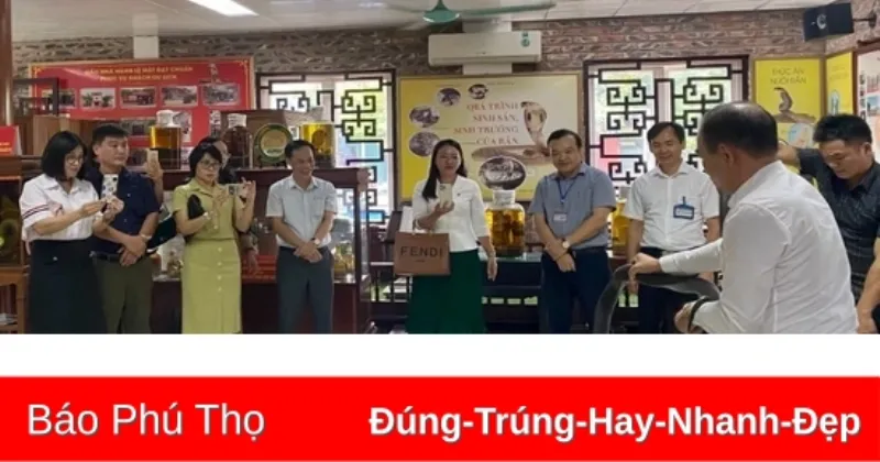 Các món ăn từ rắn ráo đa dạng và hấp dẫn