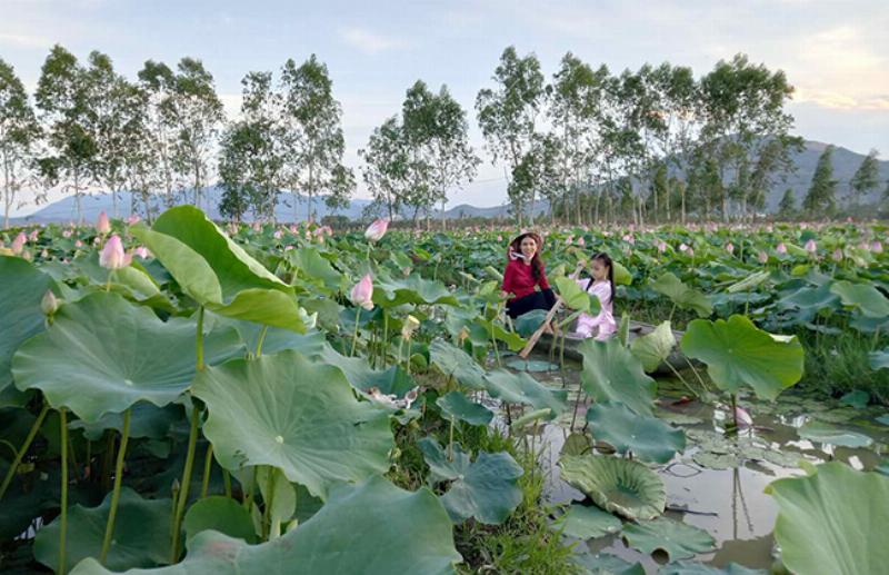 Hình ảnh hoa huệ đỏ rực rỡ khoe sắc thắm