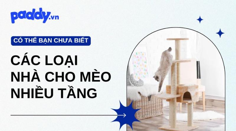 Mẹo giúp nhà cho mèo bền đẹp