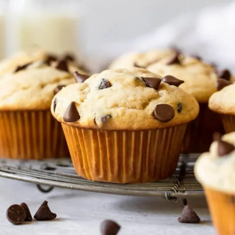 Bánh muffin chocolate chip nóng hổi, thơm ngon