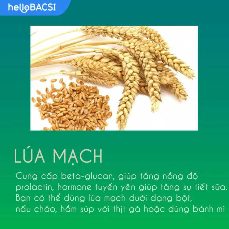 Ngũ cốc lợi sữa giúp mẹ gọi sữa về nhiều cho bé bú no_6