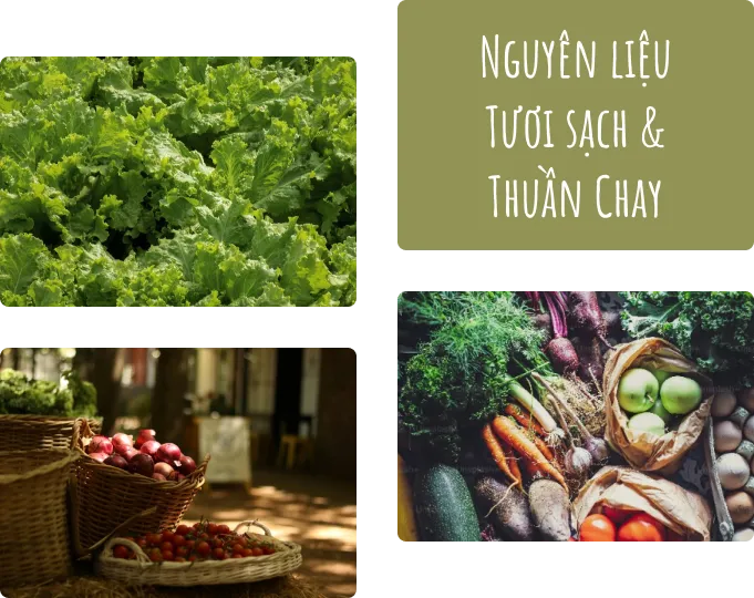 Nguyên liệu tươi sạch