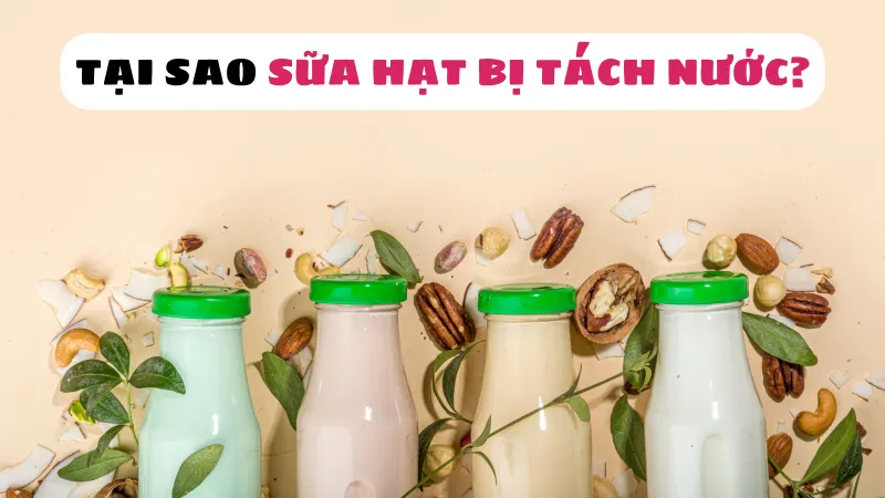 Sữa hạt bị tách nước